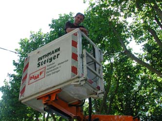20040730festimpark012